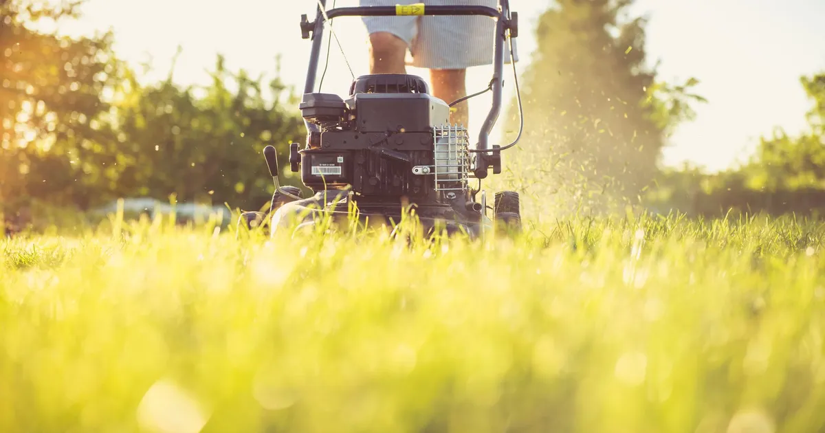 The Landscaping Marketing Seasonality Playbook: Lead the Season or Chase It
